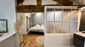 Les hirondelles du marais - Image 2