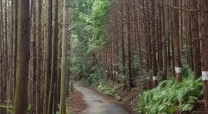 대마도쇼핑구마에하우스 - Image 5
