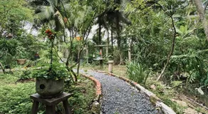 Bến Tre Homestay - Image 3