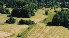 Pałaszówka - Image 5