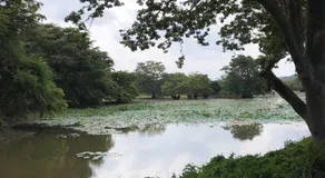 Wewlekam Safari Resort - Image 4