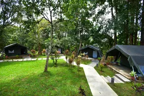 Monica Garden Bungalow - Image 3