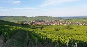 Gîte des Seigneurs 2 - Image 3