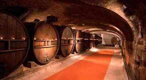 Chateau de Saint Martin - Image 4