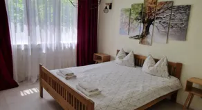 University Apt - Image 5