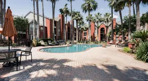 Lovely 1BR apartment in the hearth of Med Center - Image 5
