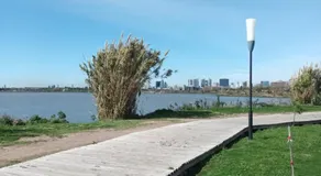 Sweet Home - Image 4