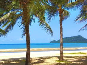 Namaste resort - Image 5
