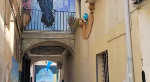 Casa Murales - Image 5