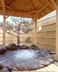 Tokurakamiyamada Onsen Yu no Yado Fukujuso - Image 2