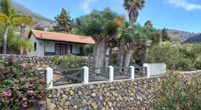EL PEDRAL - Image 4