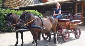 Ferienhof Scholbe - Image 3