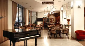 Ani Plaza Hotel - Image 2