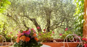 Bastide Rose de Mai - Image 5