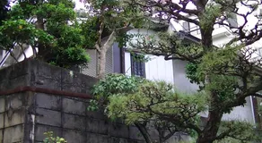 Minshuku Chatamago - Image 3