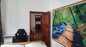 Apartments Fazarinc with parking, wellness and city store in the center of Celje - Image 2