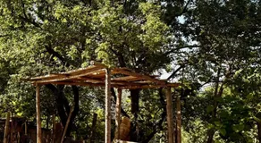 Nika Guesthouse & Camp - Image 5