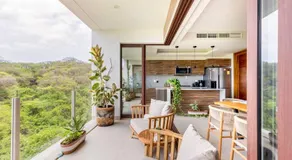Jungle by Pardela, La Cruz de Huanacaxtle - Image 4