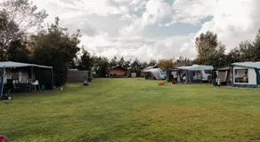 Camping De Tulpenweide lege Kampeerplaats, lege plaats op het gras zonder bed - Image 5