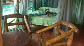 Isla Violin Eco-Lodge - Image 5