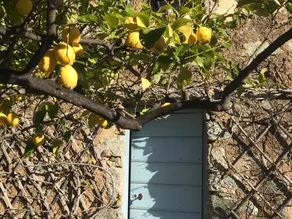 Maison d'hôtes Aregno - Image 2
