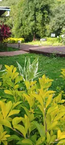 RIVERSTONE NATURE RESORT - Image 5