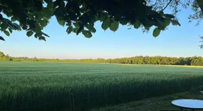 Doevelsteeg Ommen - Image 5