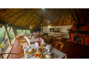 Crater Forest Tented Lodge - Image 5