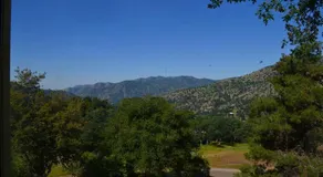 The Quail's Nest - Image 4