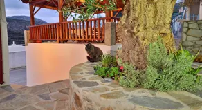 Plokamos House - Image 5