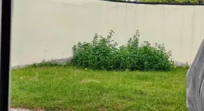 APPARTEMENT JARDIN - Image 5