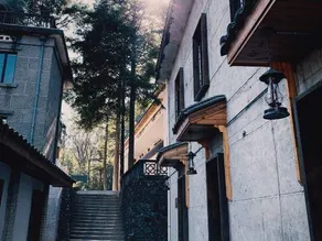Chuxinji Forest Homestay - Image 4