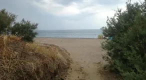 Le 3 tartarughe - Image 5