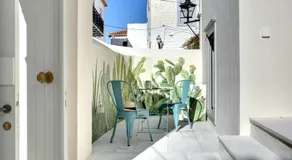 Cactus Hydra - Art Apartments - Image 2