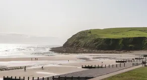 The Swift - Image 3