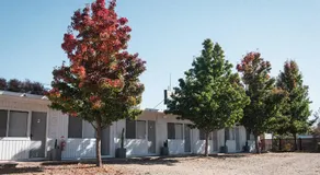 Cedar Lodge - Image 2