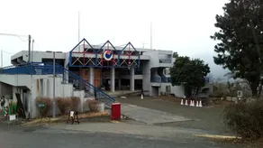 Pica Sagamiko - Image 2