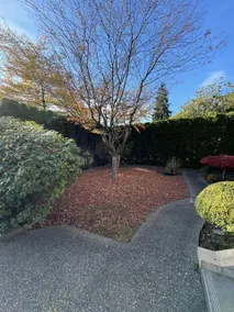 Sunshine Bay · Westside Homestay - Image 5