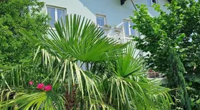 Smestaj Novakovic , Zdrelo - Image 3