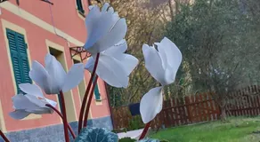 Villa Bella Liguria B&B - Image 5