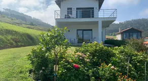 Casa Paloma - Image 4