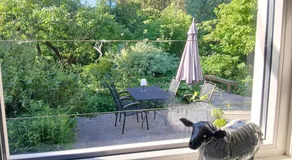 Raafjeshof - Vakantiewoning - Image 5
