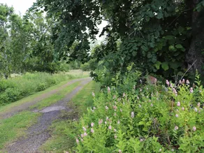person holiday home in KARL GUSTAV - Image 4