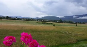 Guest House Vana - Image 5