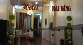 Mai Vàng - Image 3