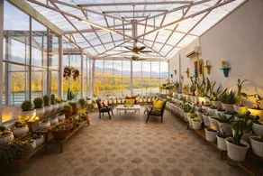 The Neeraj Ganga Divine Stay truly lives up to it - Image 3