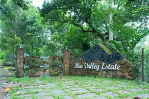 Blue Valley Estate-12 Acre Forest-Silver Oak-Villa - Image 3