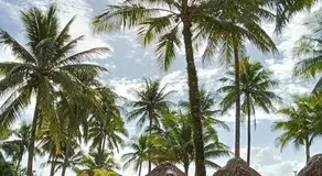 Reyes Beach Resort - Image 4