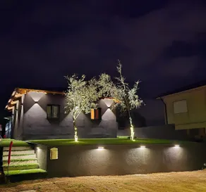 O Sítio das Oliveiras - Image 5