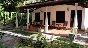 Banana Leaf Garden - Image 3